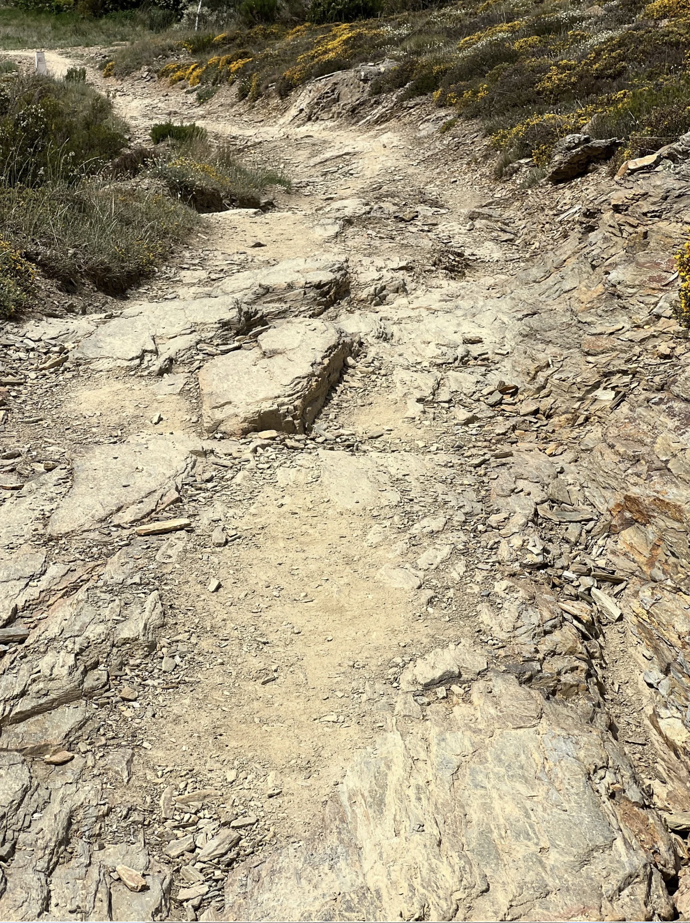 Screenshot 2026-03-10 at 4.11.39 PM.png