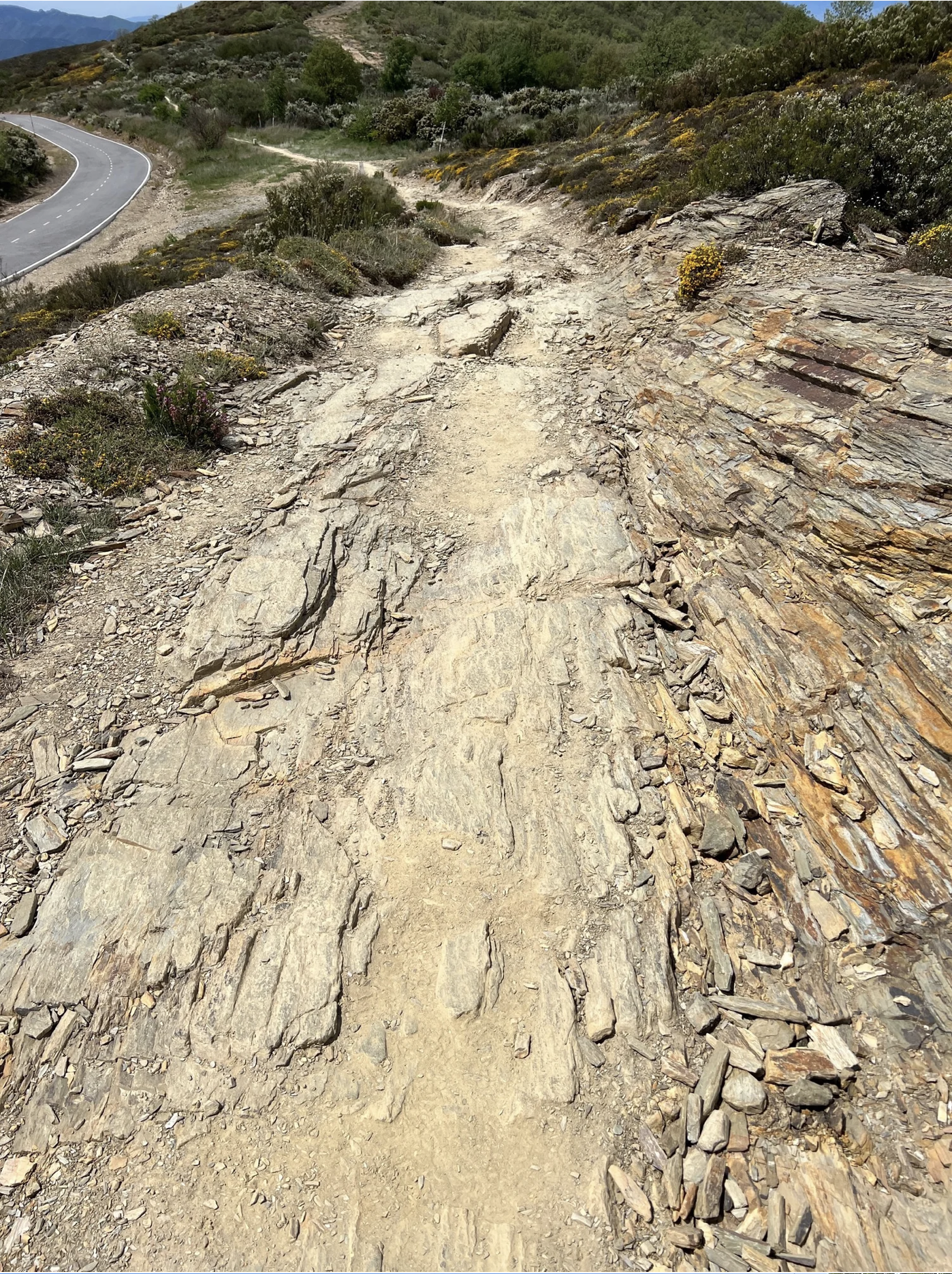 Screenshot 2026-03-10 at 4.11.54 PM.png