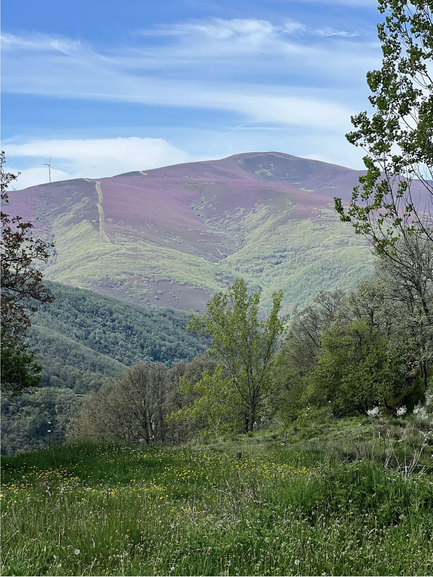 Screenshot 2026-03-10 at 4.12.11 PM.png