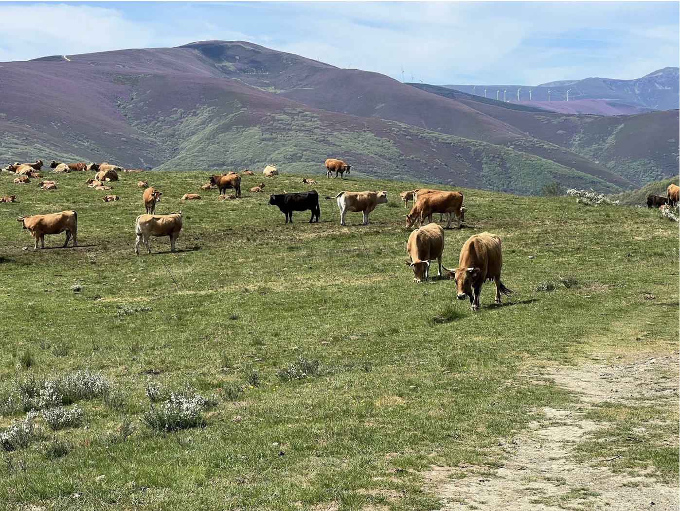 Screenshot 2026-03-10 at 4.12.29 PM.png