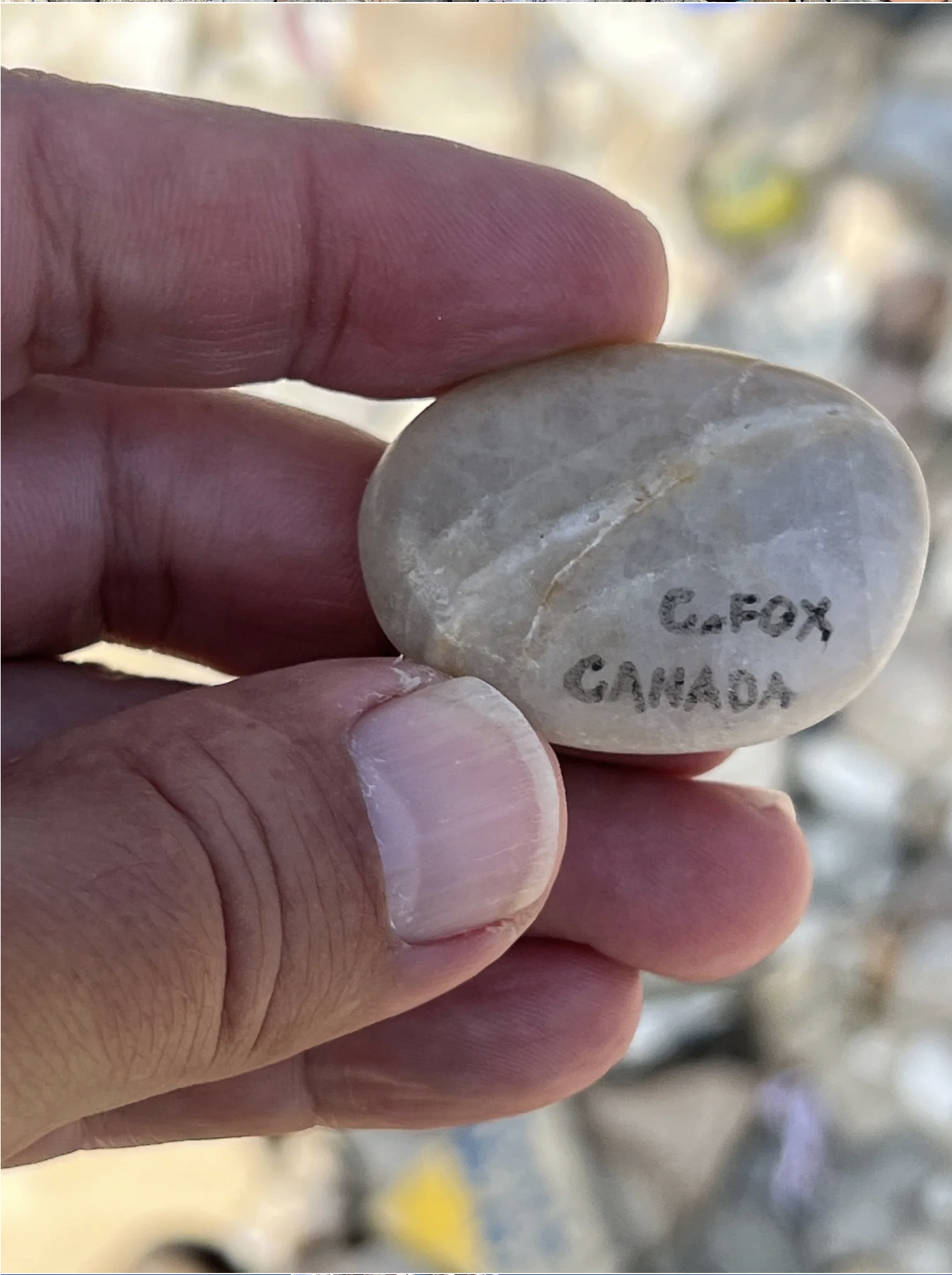 Screenshot 2026-03-10 at 4.13.41 PM.png