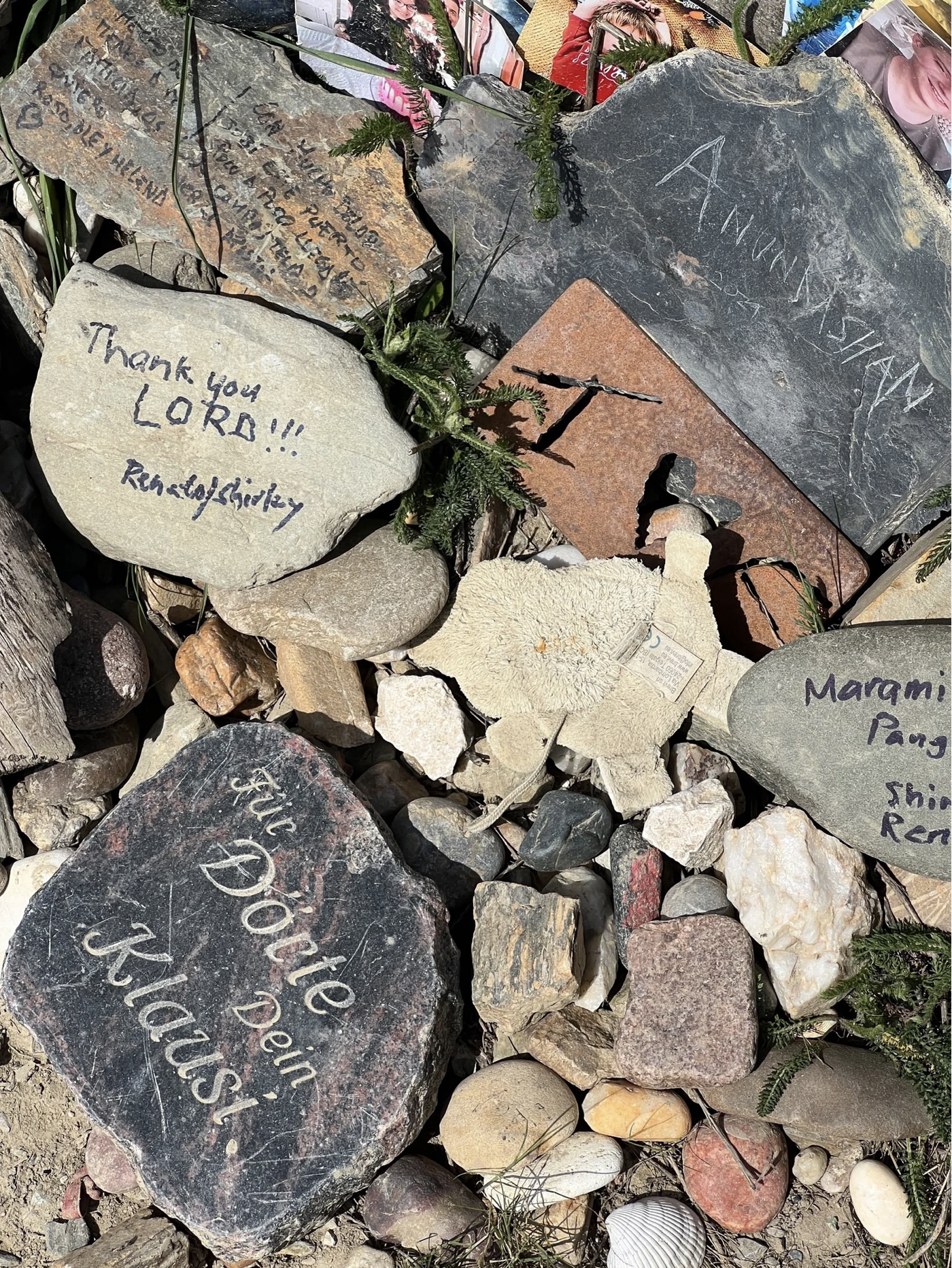 Screenshot 2026-03-10 at 4.14.16 PM.png