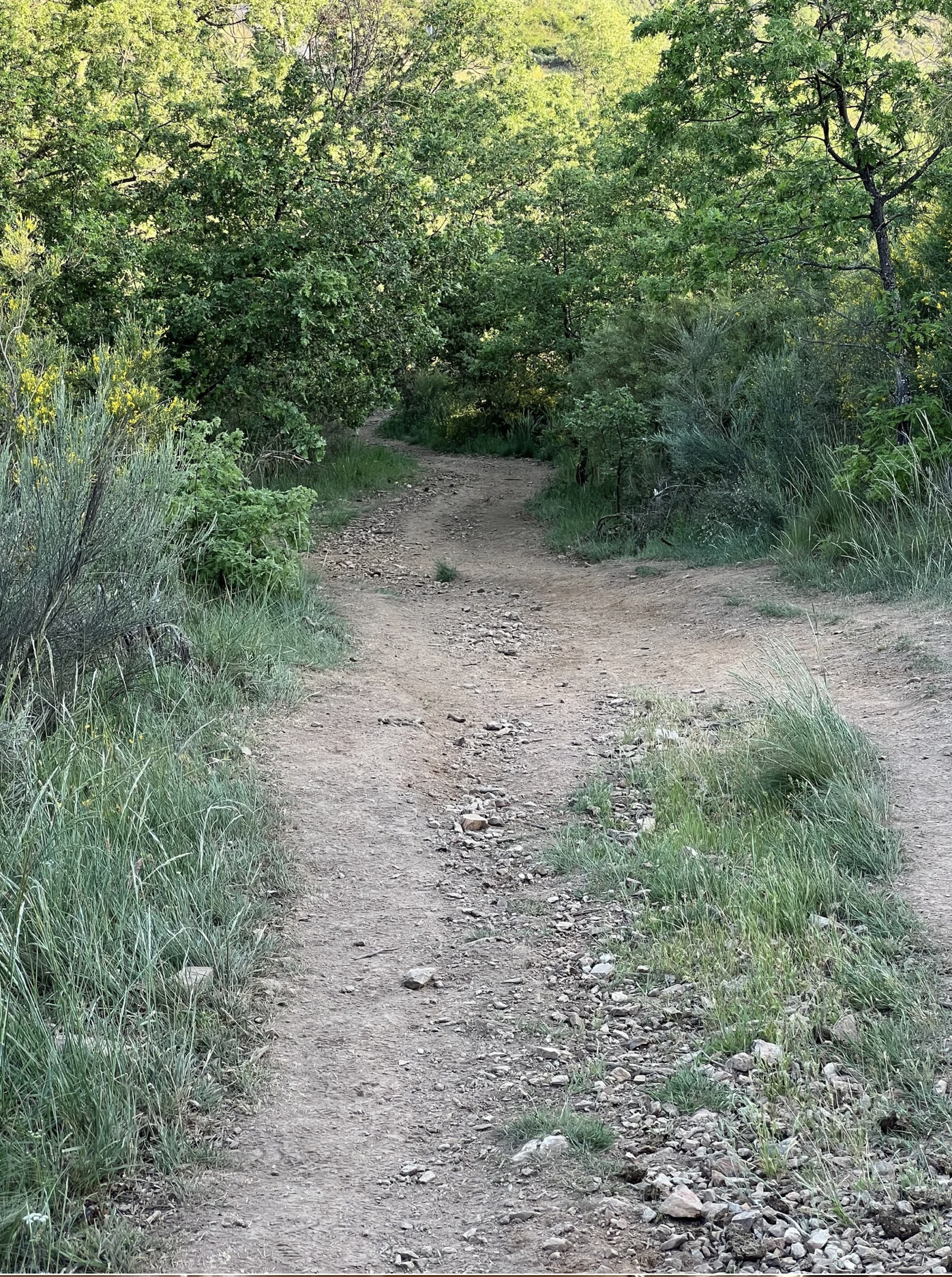 Screenshot 2026-03-11 at 9.09.34 AM.png