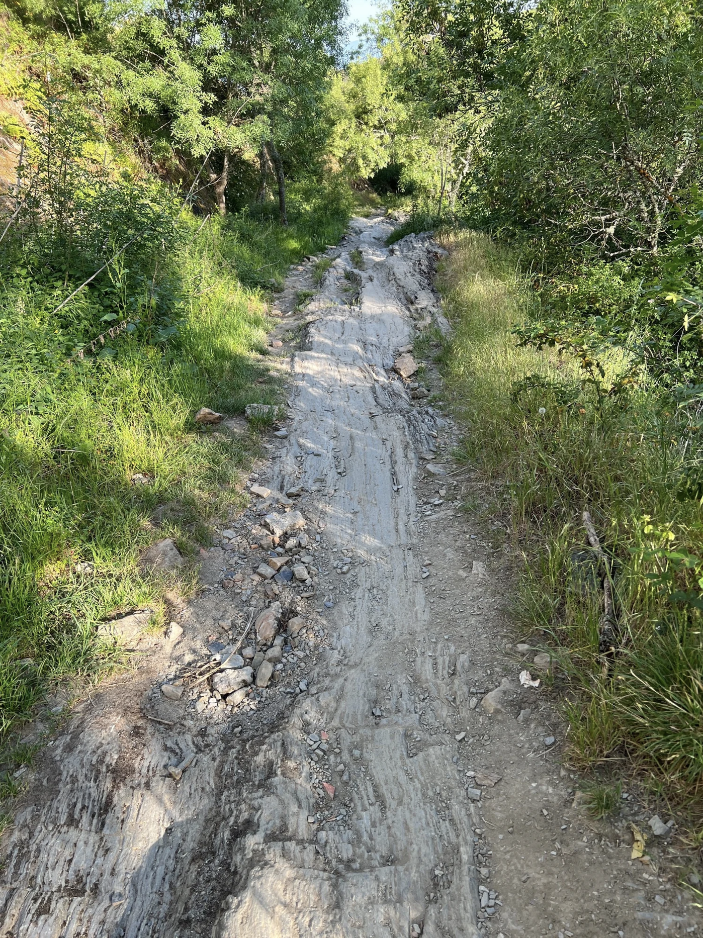 Screenshot 2026-03-11 at 9.10.15 AM.png