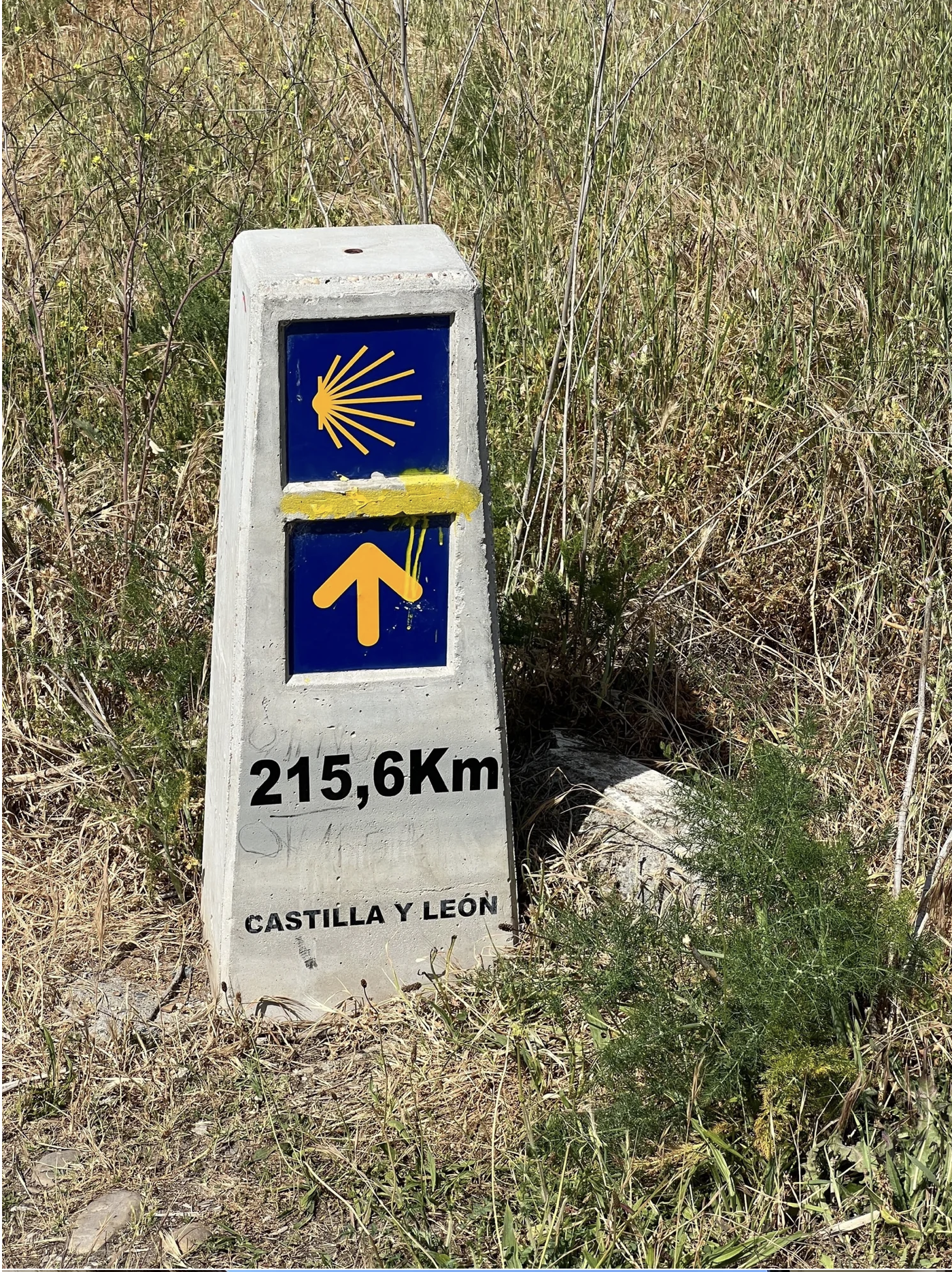 Screenshot 2026-03-11 at 9.10.31 AM.png