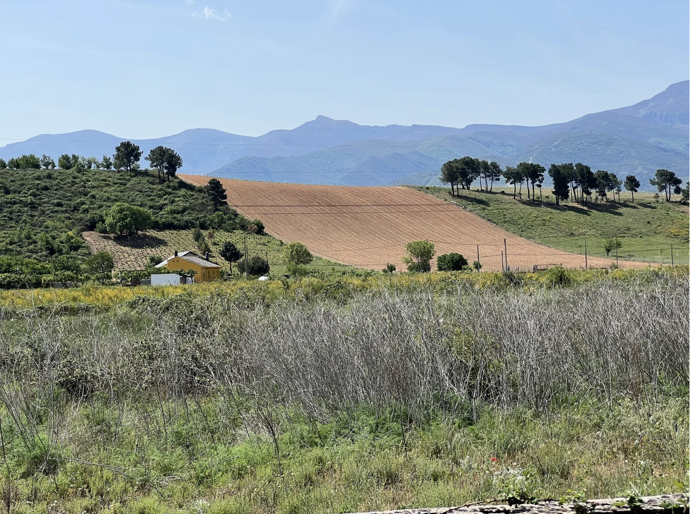 Screenshot 2026-03-11 at 9.11.06 AM.png