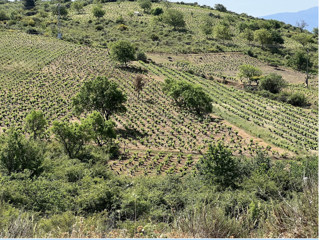 Screenshot 2026-03-11 at 9.18.03 AM.png