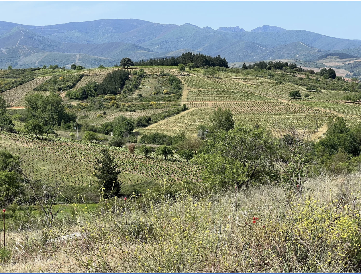 Screenshot 2026-03-11 at 9.18.19 AM.png