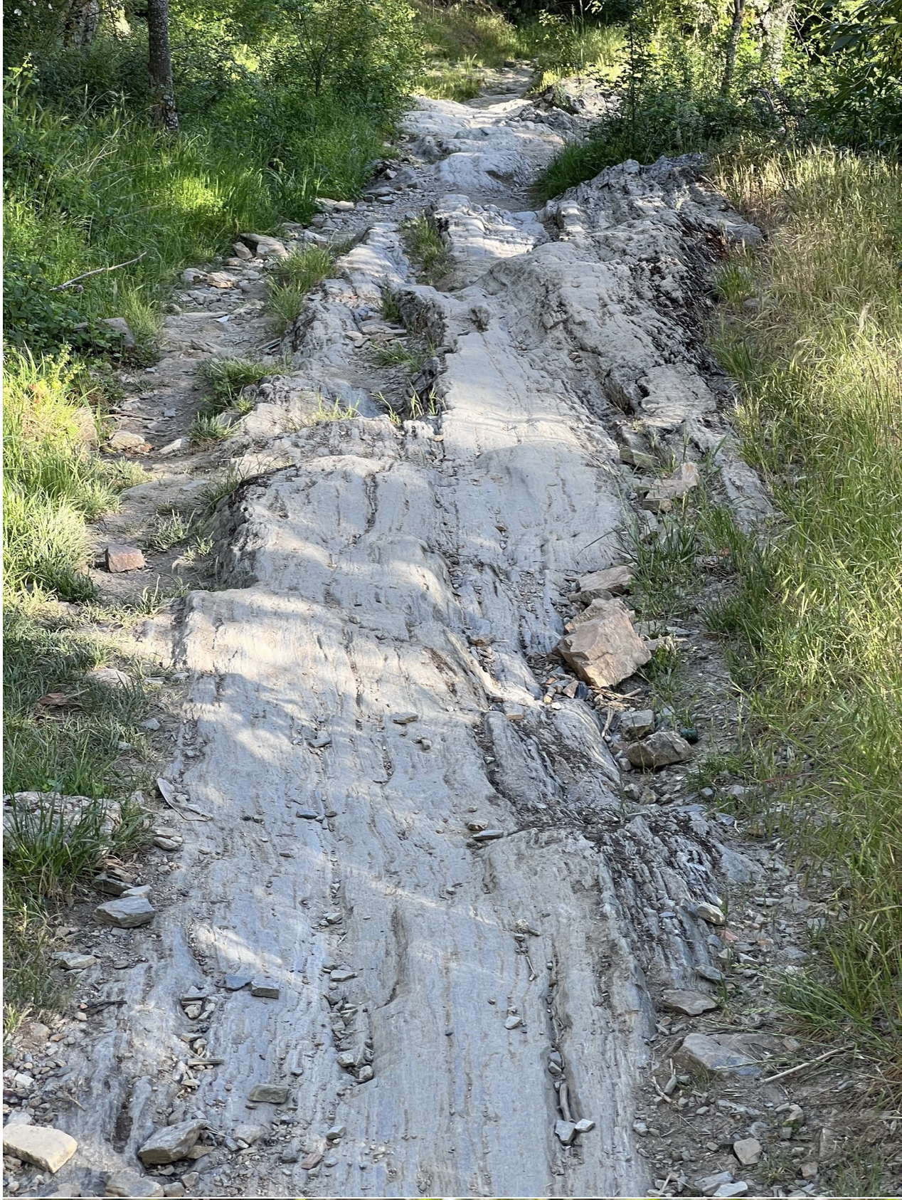 Screenshot 2026-03-11 at 9.18.47 AM.png