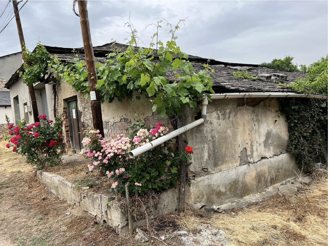 Screenshot 2026-03-11 at 9.26.32 AM.png