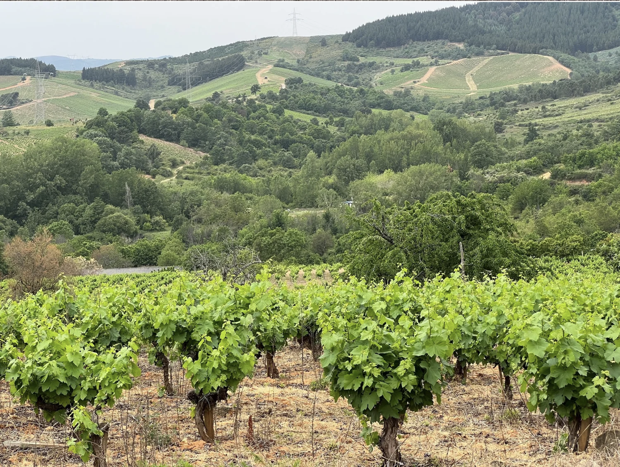 Screenshot 2026-03-11 at 9.27.47 AM.png