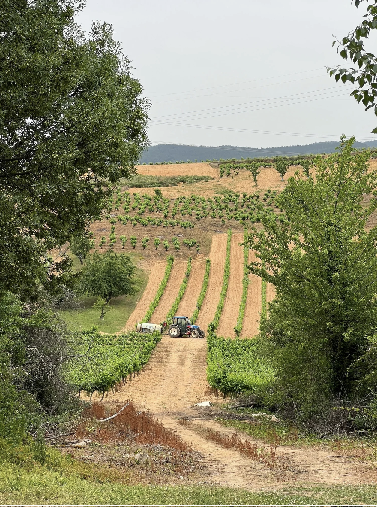 Screenshot 2026-03-11 at 9.28.39 AM.png