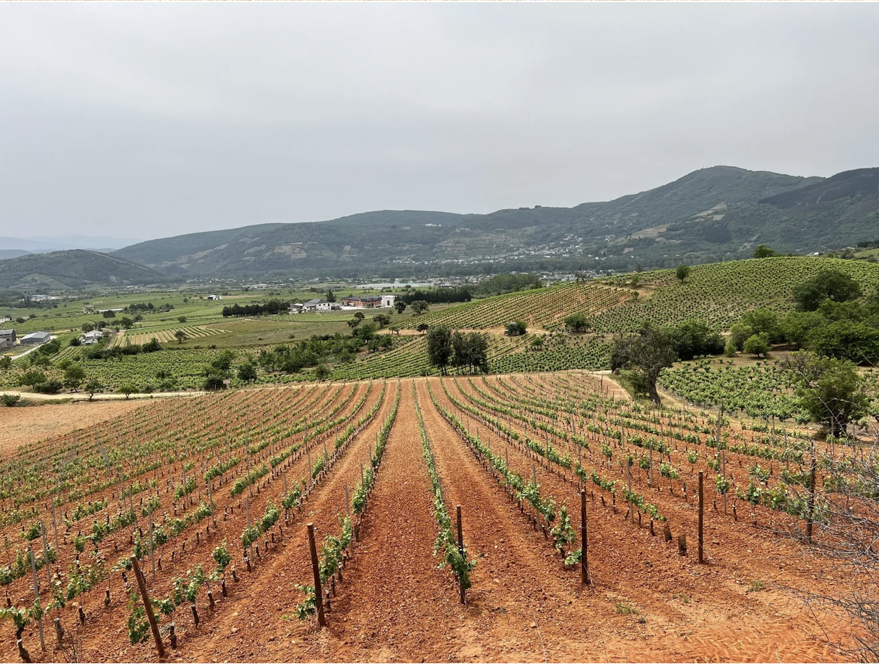 Screenshot 2026-03-11 at 9.30.06 AM.png