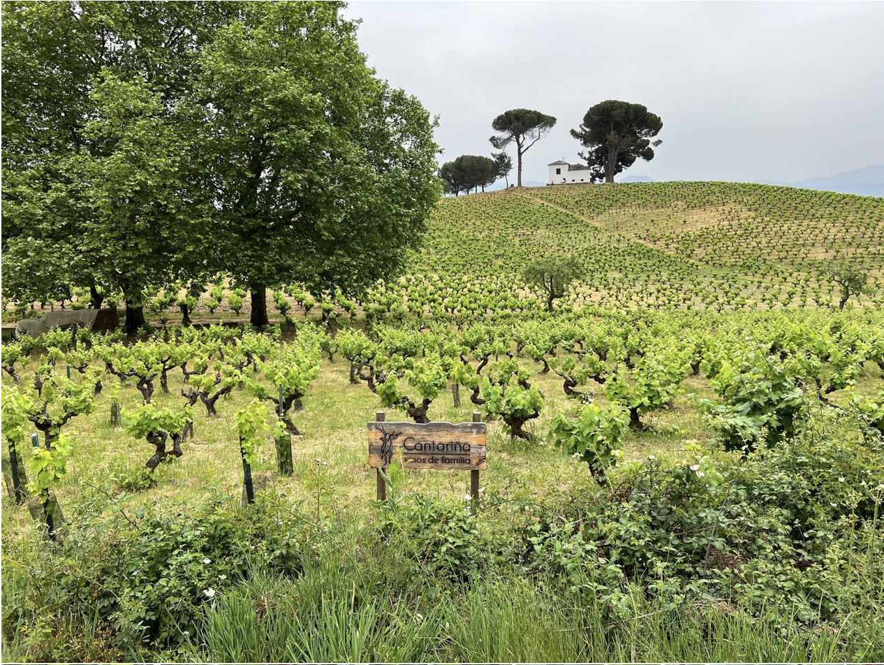 Screenshot 2026-03-11 at 9.30.19 AM.png