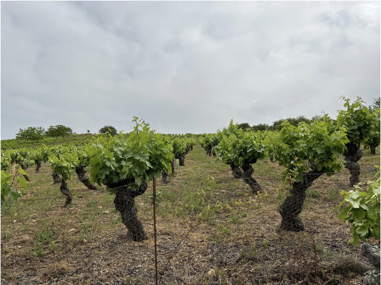 Screenshot 2026-03-11 at 9.31.45 AM.png