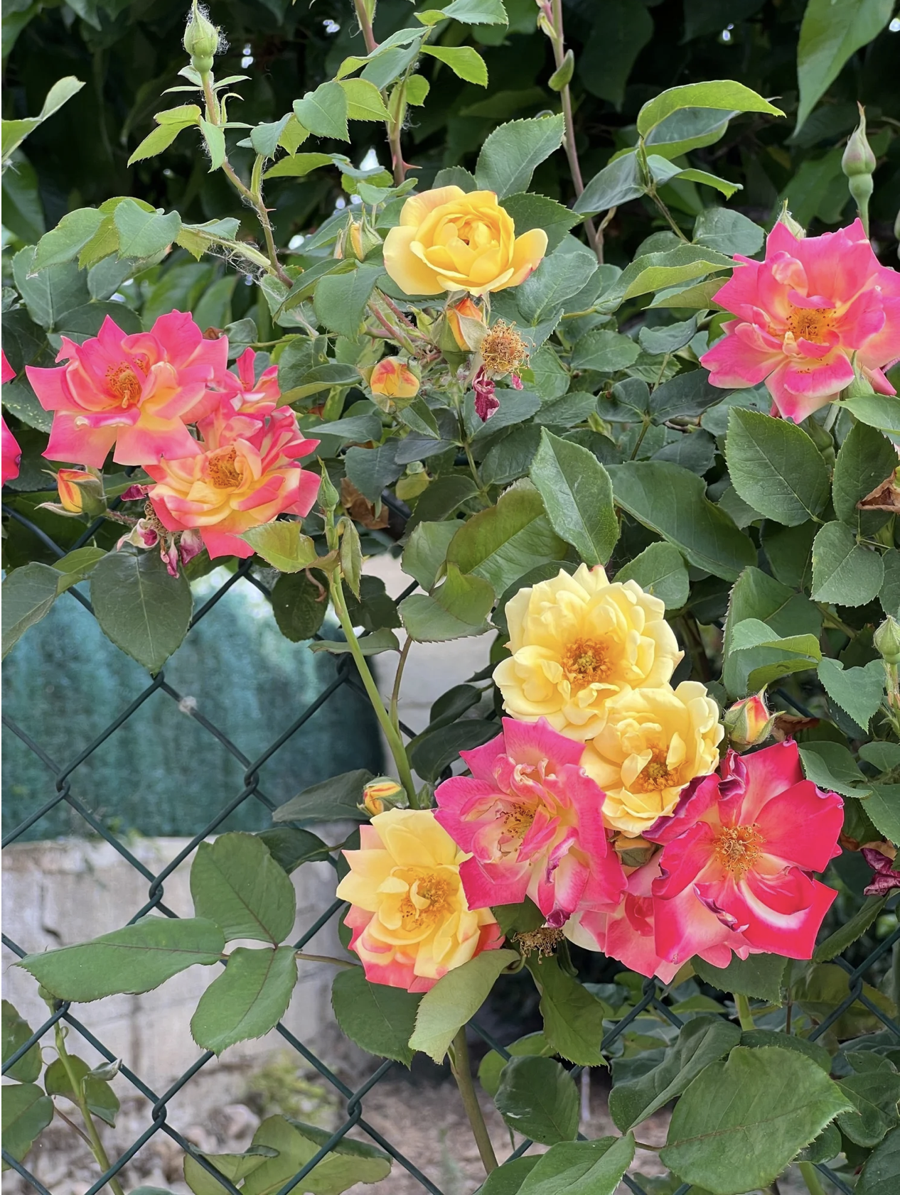 Screenshot 2026-03-11 at 9.32.29 AM.png