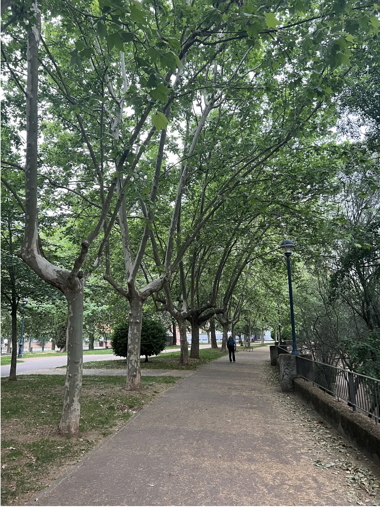 Screenshot 2026-03-11 at 9.32.42 AM.png