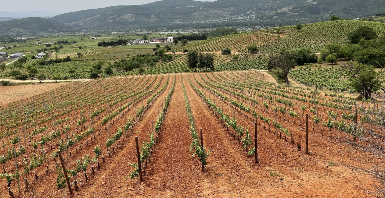 Day 29 Ponferrada to Villafranca del Berzio