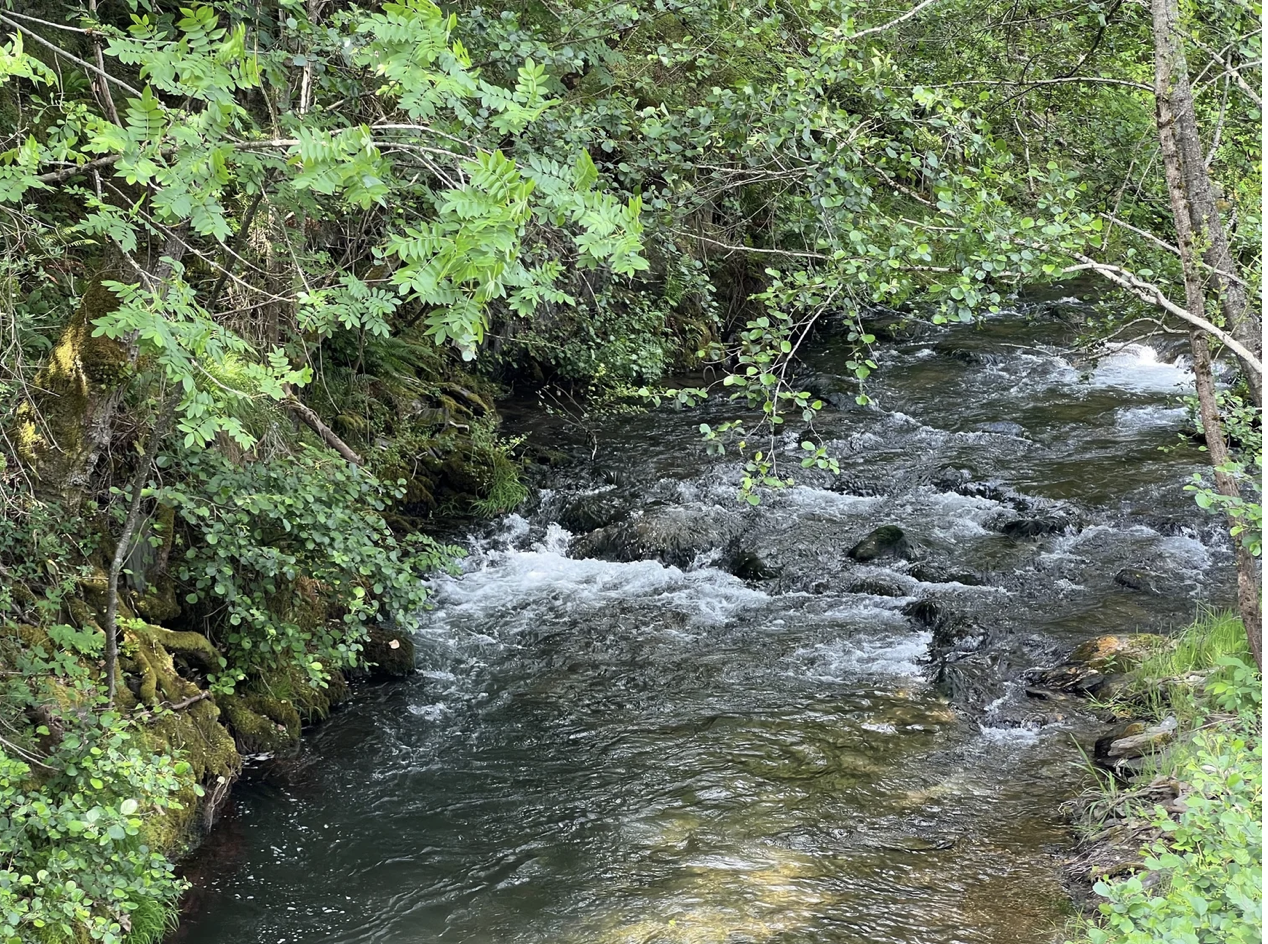 Screenshot 2026-03-11 at 9.36.05 AM.png