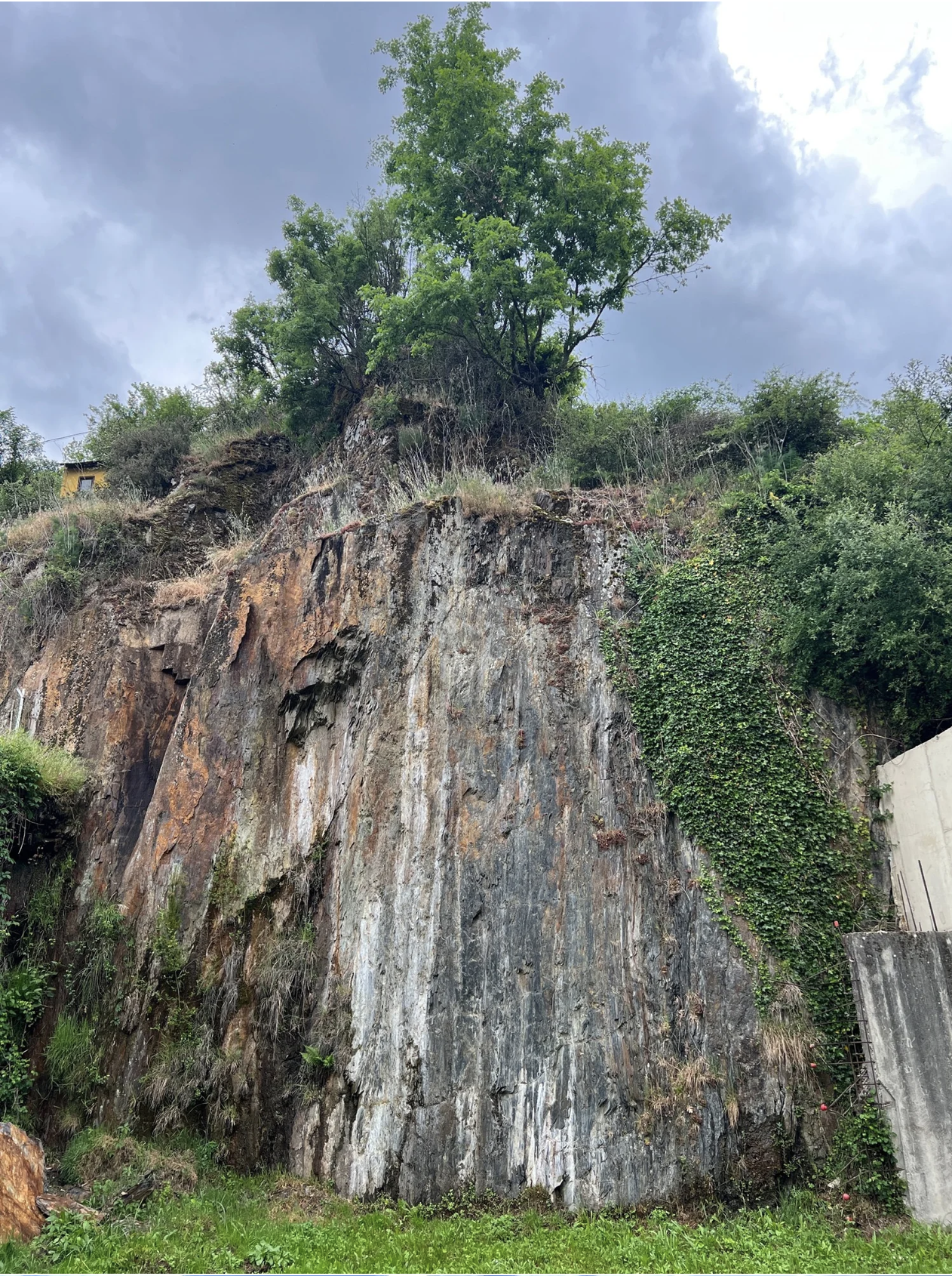 Screenshot 2026-03-11 at 9.36.20 AM.png