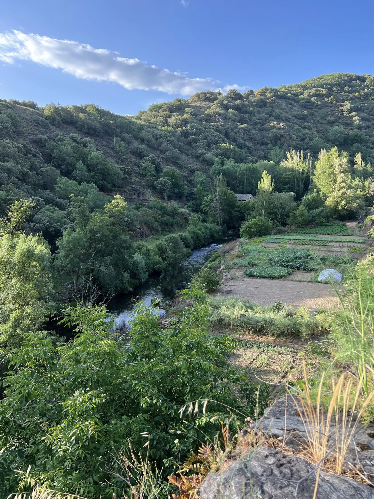 Screenshot 2026-03-11 at 9.37.17 AM.png