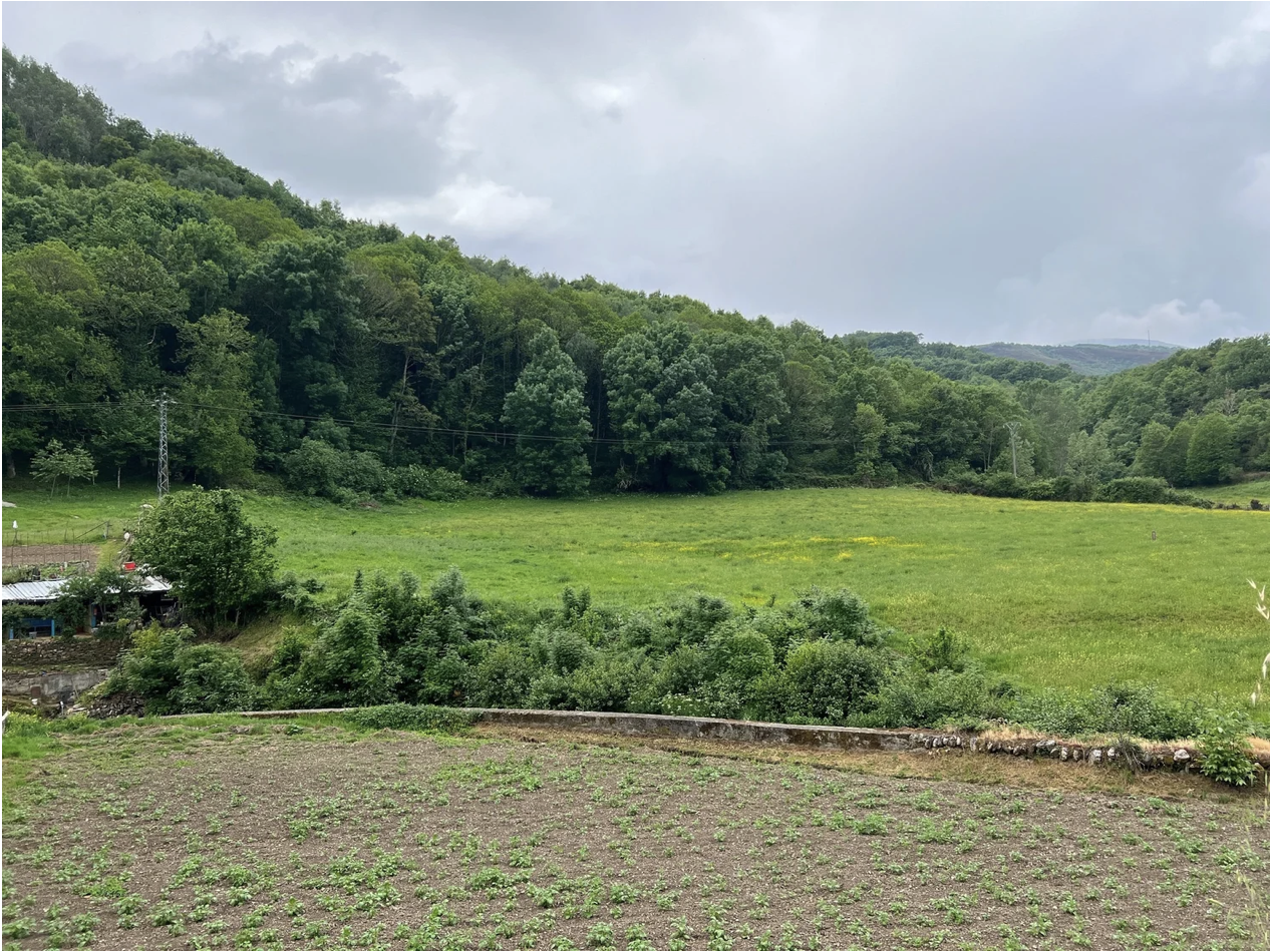 Screenshot 2026-03-11 at 9.37.31 AM.png