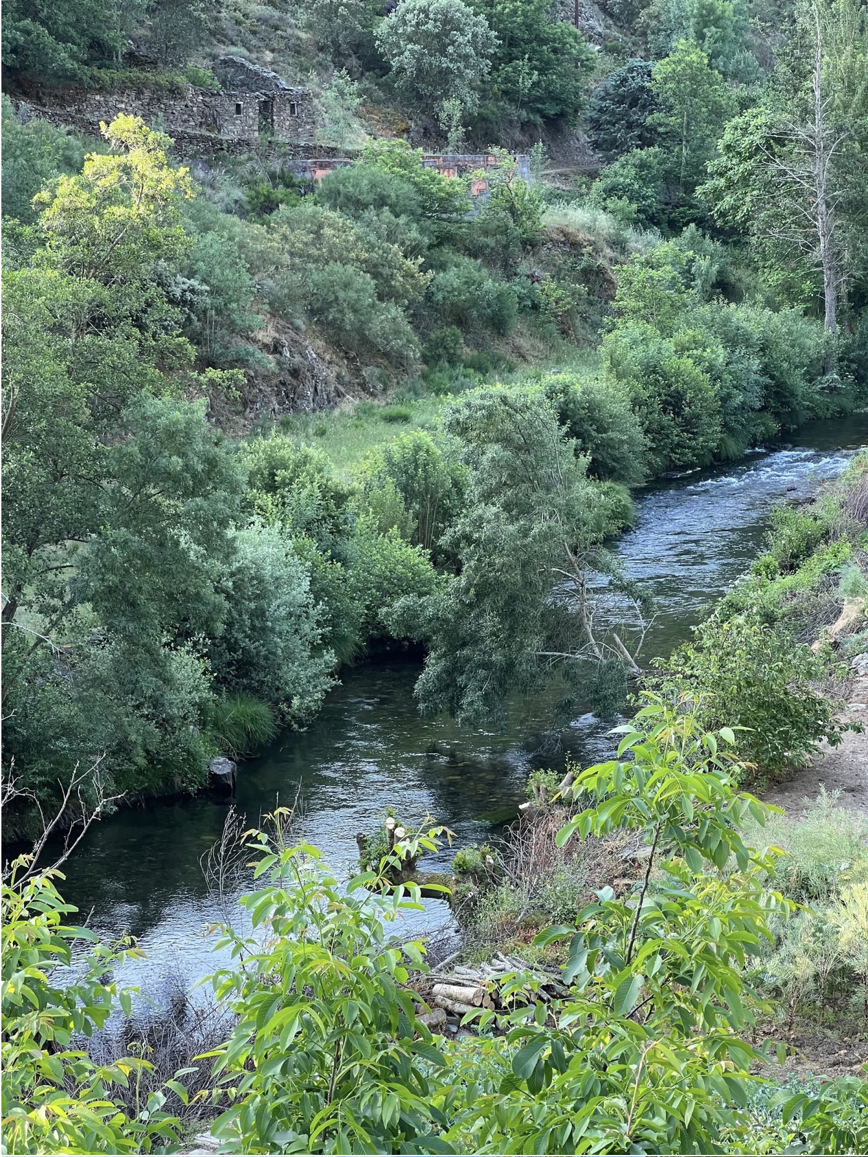 Screenshot 2026-03-11 at 9.38.40 AM.png