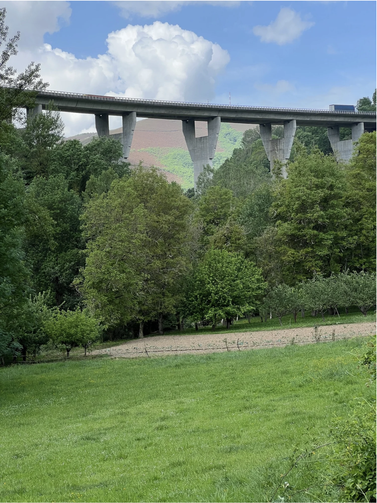 Screenshot 2026-03-11 at 9.39.45 AM.png