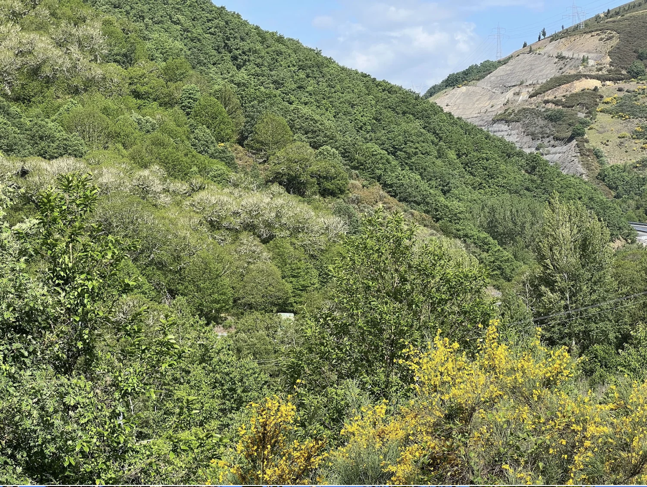 Screenshot 2026-03-11 at 9.41.00 AM.png