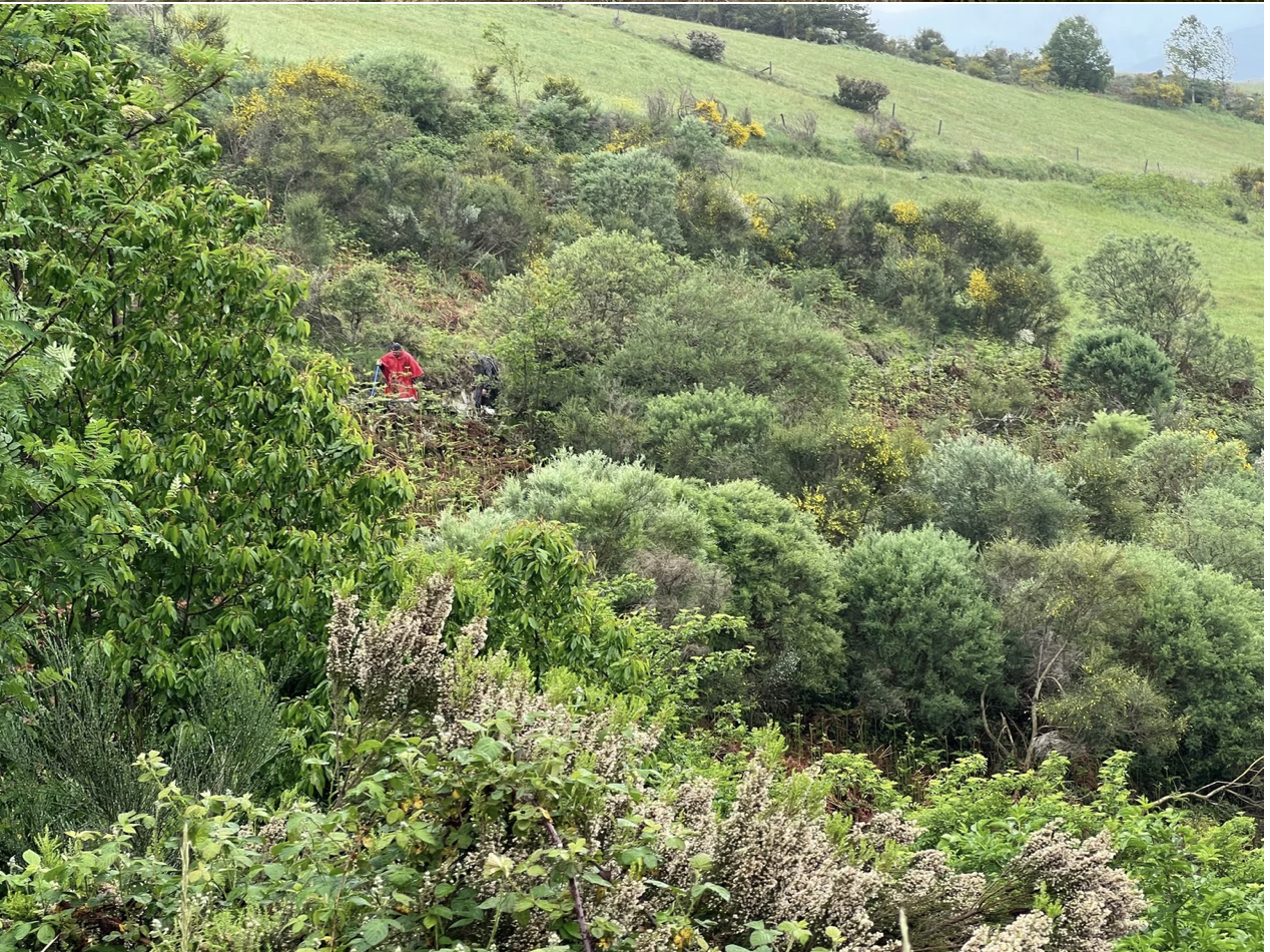 Screenshot 2026-03-11 at 9.45.49 AM.png