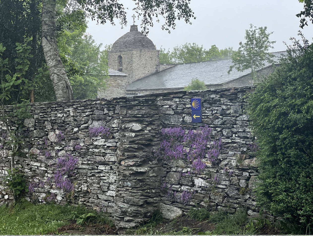 Screenshot 2026-03-11 at 9.46.06 AM.png