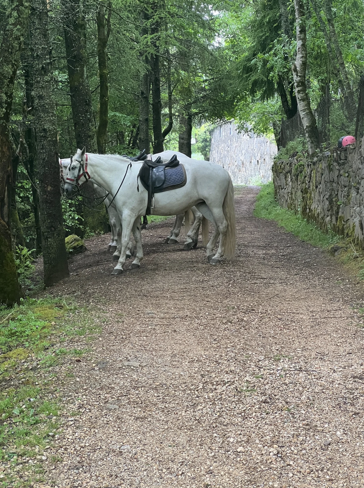 Screenshot 2026-03-11 at 9.46.20 AM.png