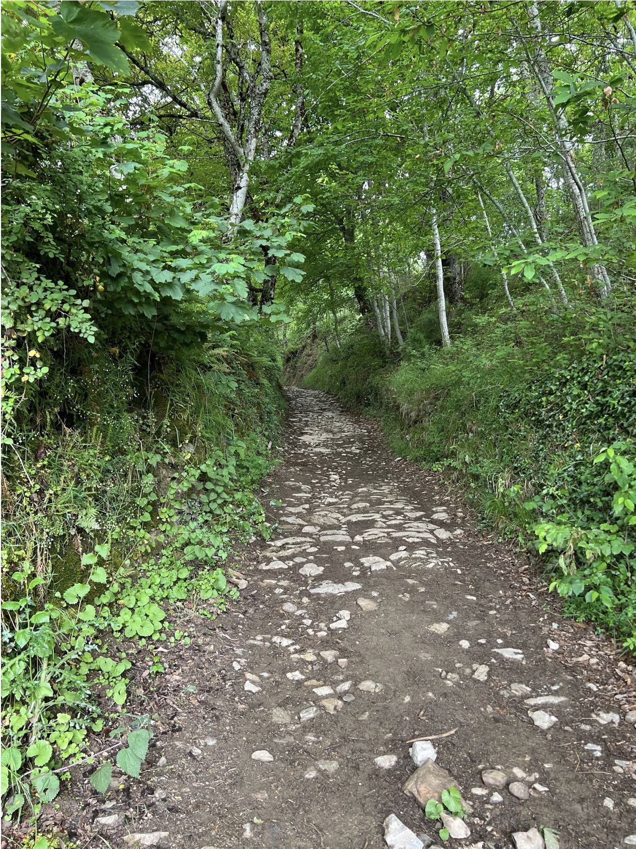 Screenshot 2026-03-11 at 9.46.34 AM.png