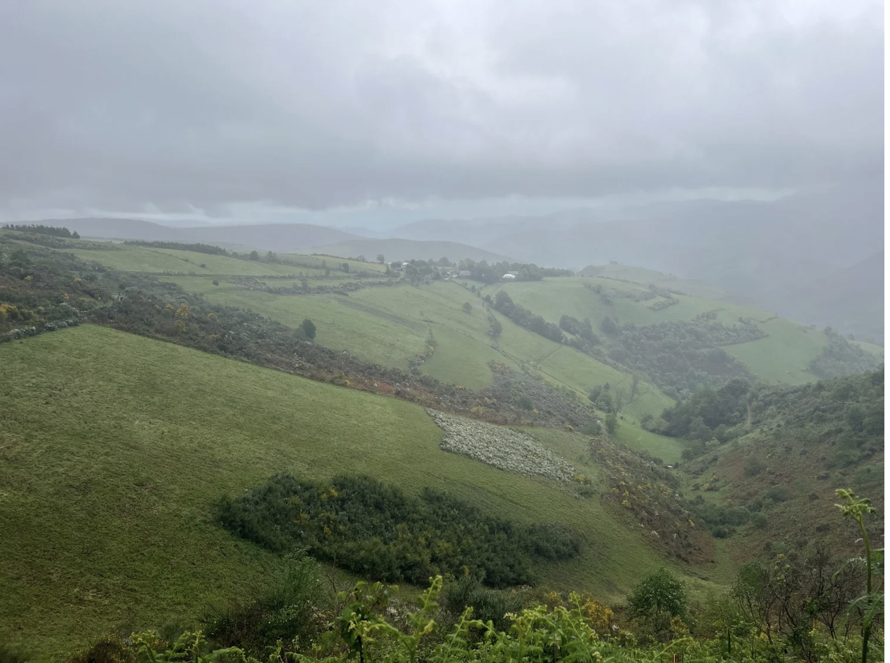 Screenshot 2026-03-11 at 9.46.46 AM.png