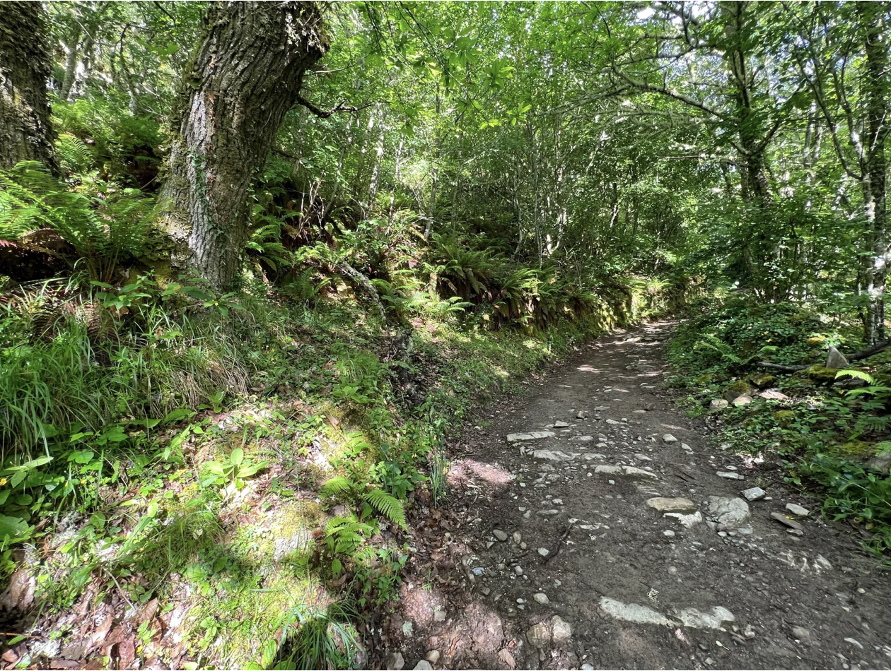 Screenshot 2026-03-11 at 9.46.57 AM.png