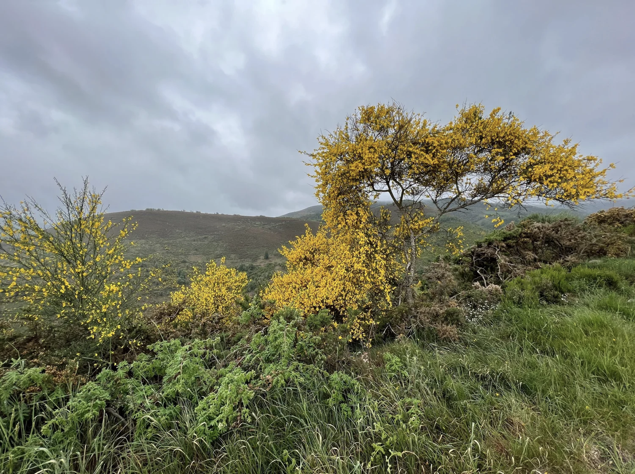 Screenshot 2026-03-11 at 9.47.27 AM.png