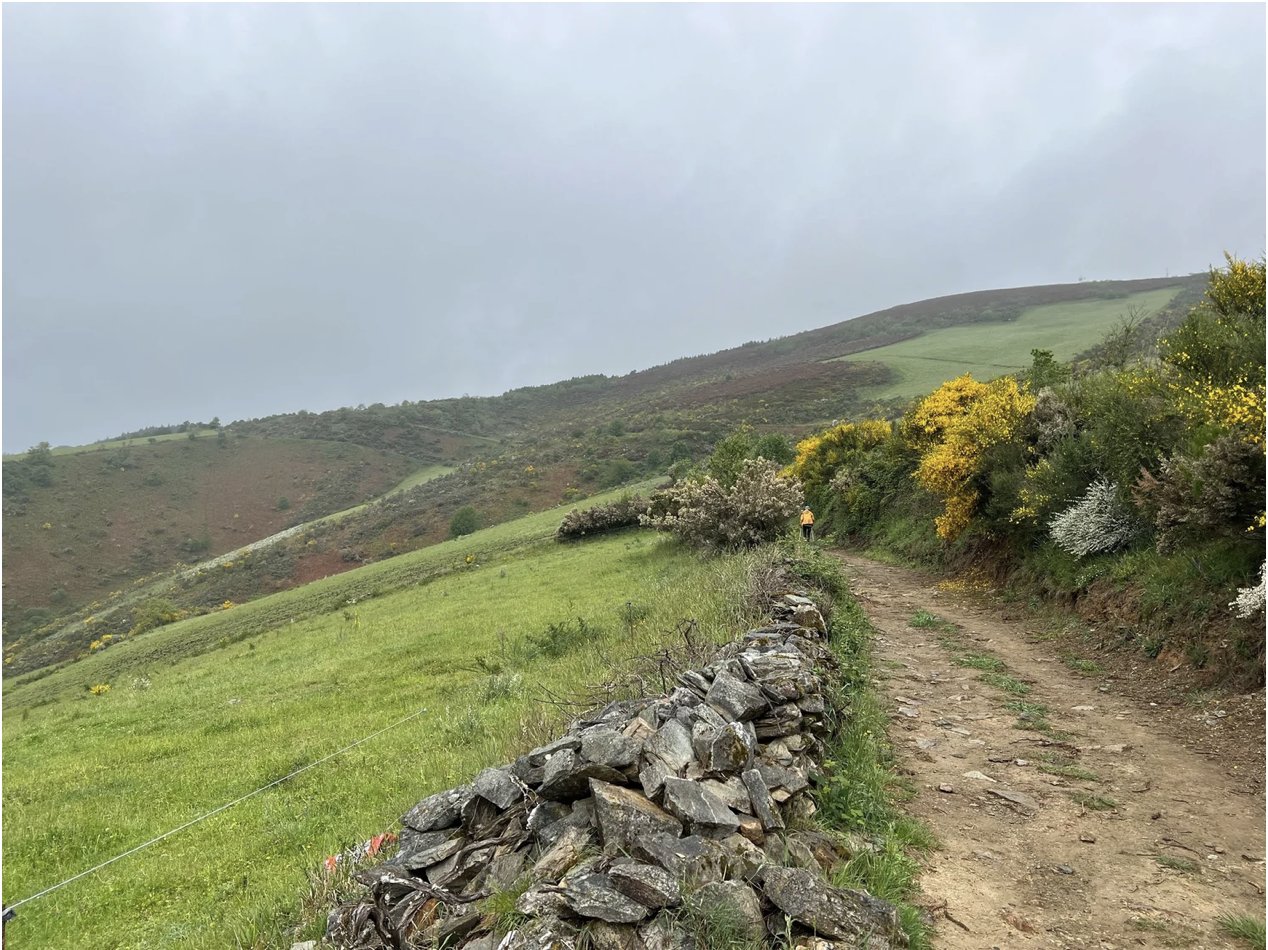 Screenshot 2026-03-11 at 9.47.42 AM.png