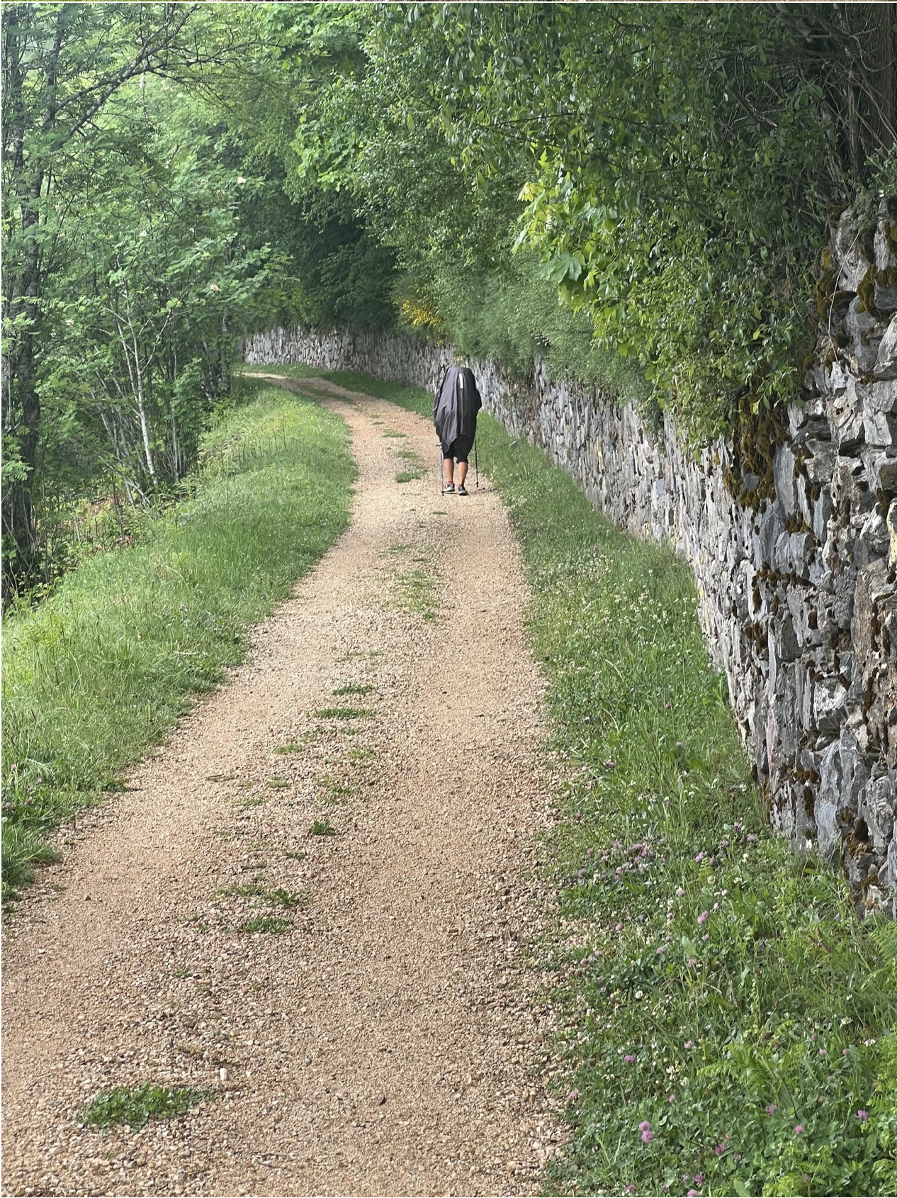 Screenshot 2026-03-11 at 9.47.56 AM.png