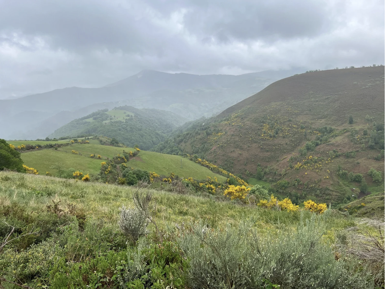 Screenshot 2026-03-11 at 9.48.19 AM.png