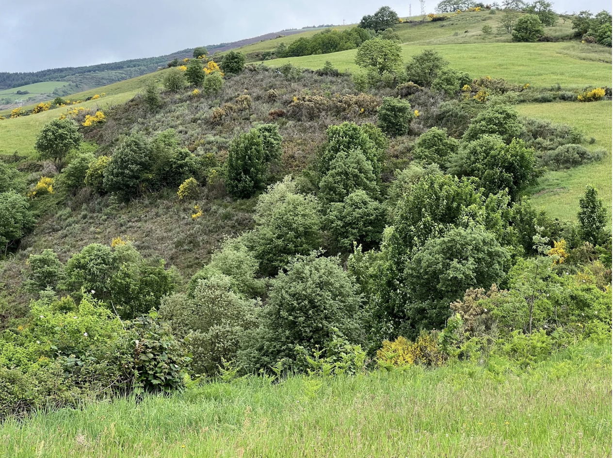 Screenshot 2026-03-11 at 9.49.03 AM.png