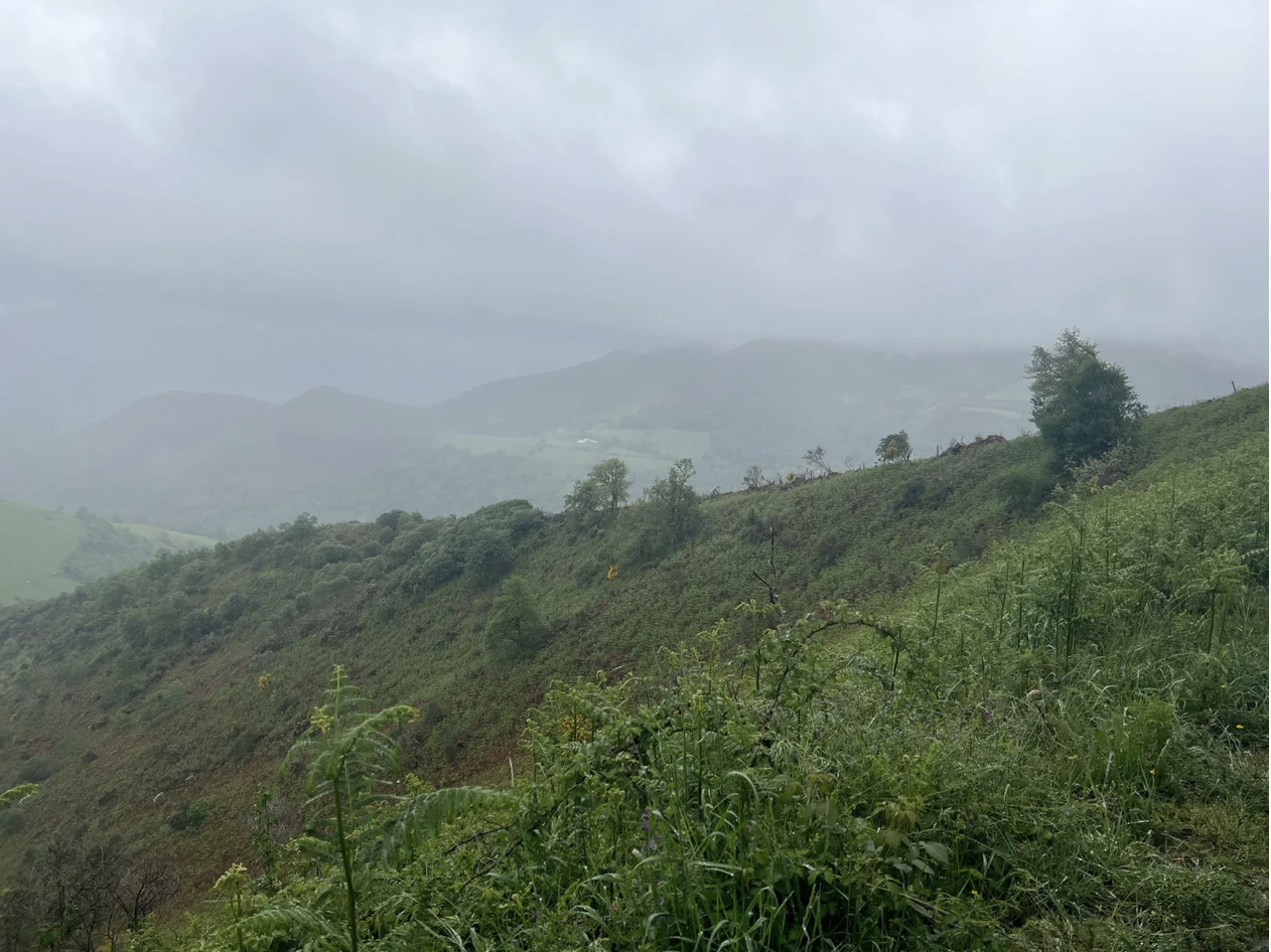 Screenshot 2026-03-11 at 9.50.25 AM.png