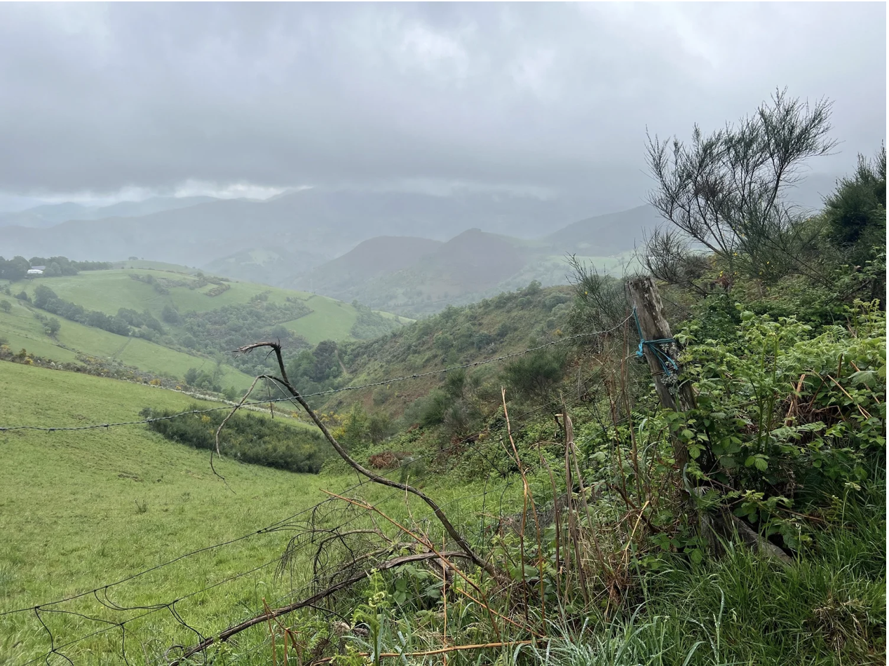 Screenshot 2026-03-11 at 9.50.55 AM.png