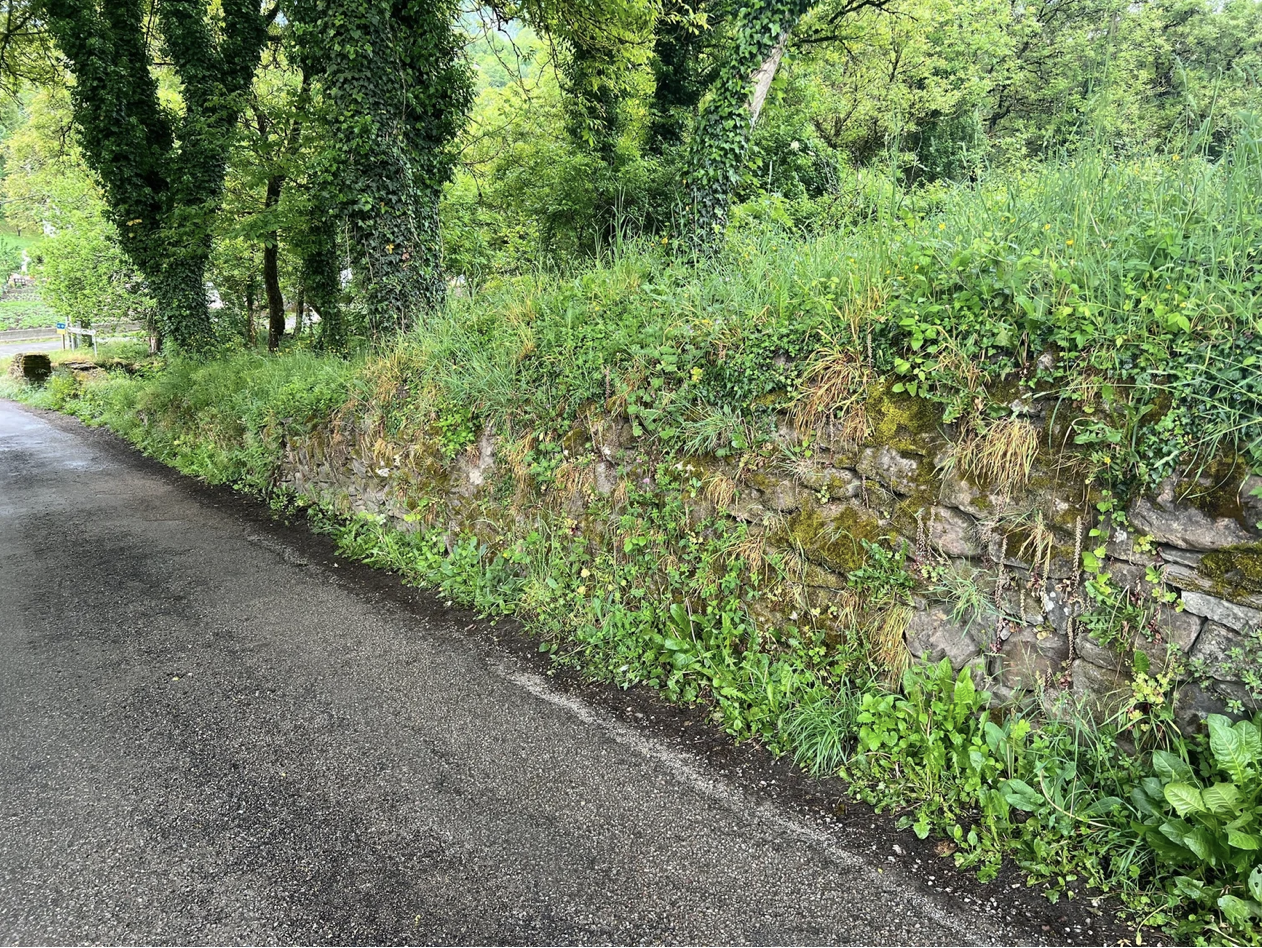 Screenshot 2026-03-11 at 9.51.50 AM.png