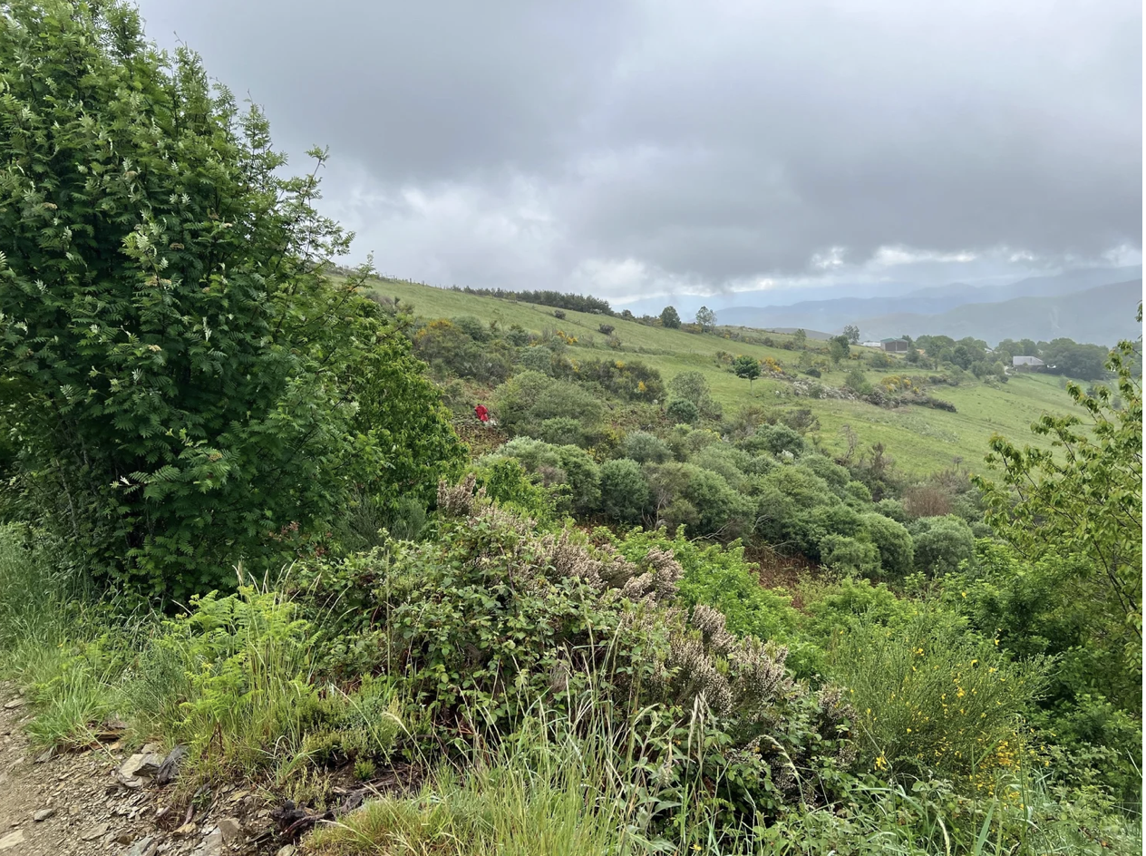 Screenshot 2026-03-11 at 9.52.02 AM.png