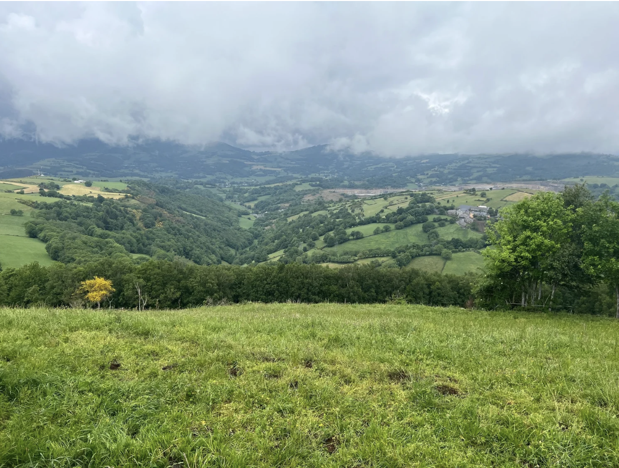 Screenshot 2026-03-11 at 9.56.47 AM.png