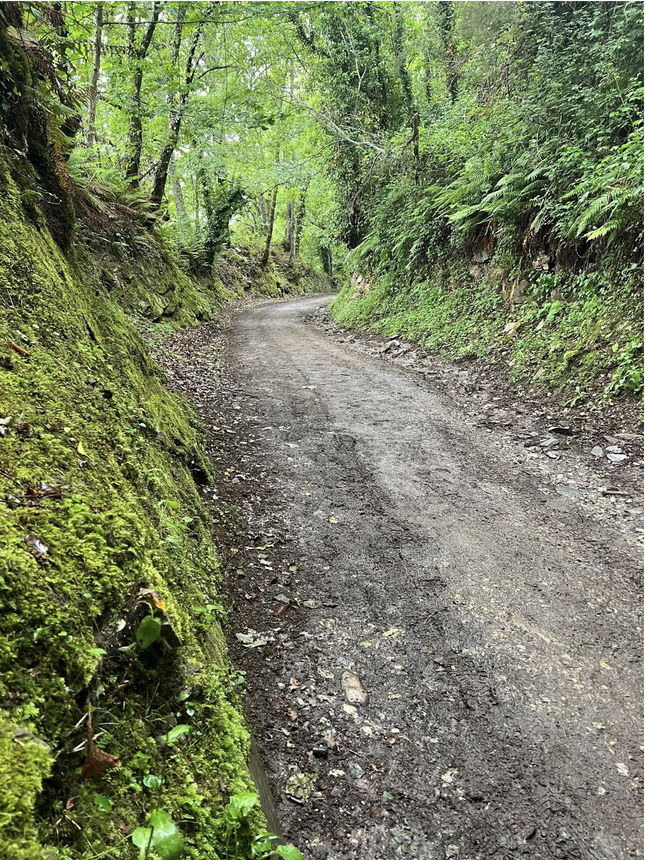 Screenshot 2026-03-11 at 9.56.57 AM.png