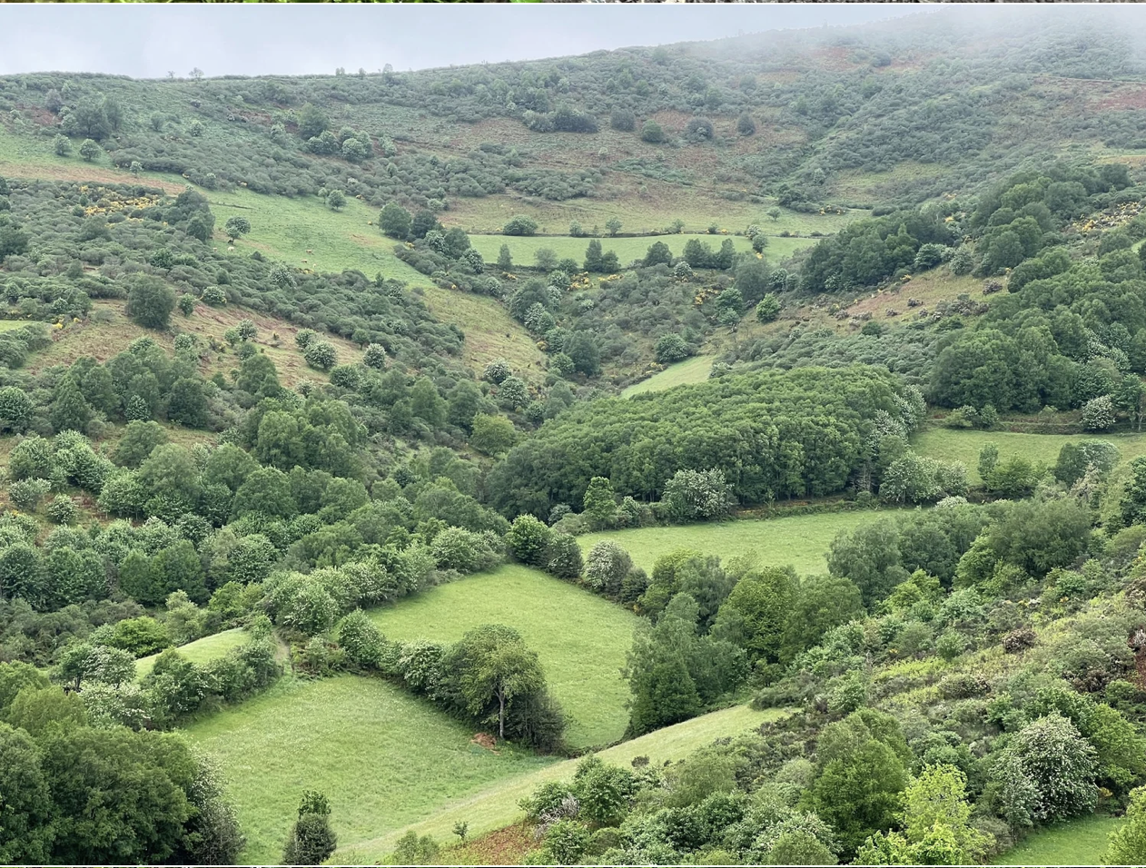 Screenshot 2026-03-11 at 9.57.12 AM.png