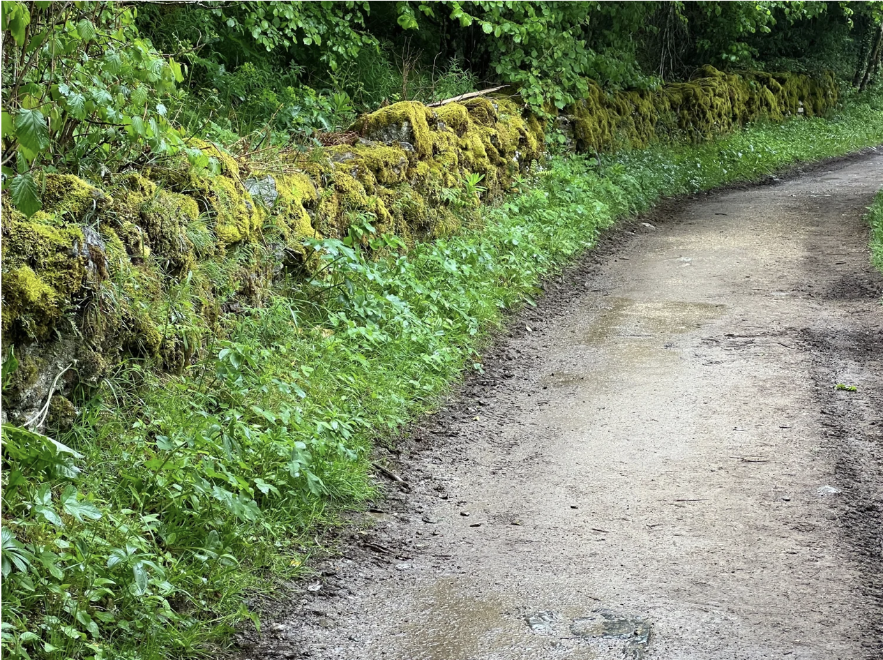 Screenshot 2026-03-11 at 9.57.23 AM.png