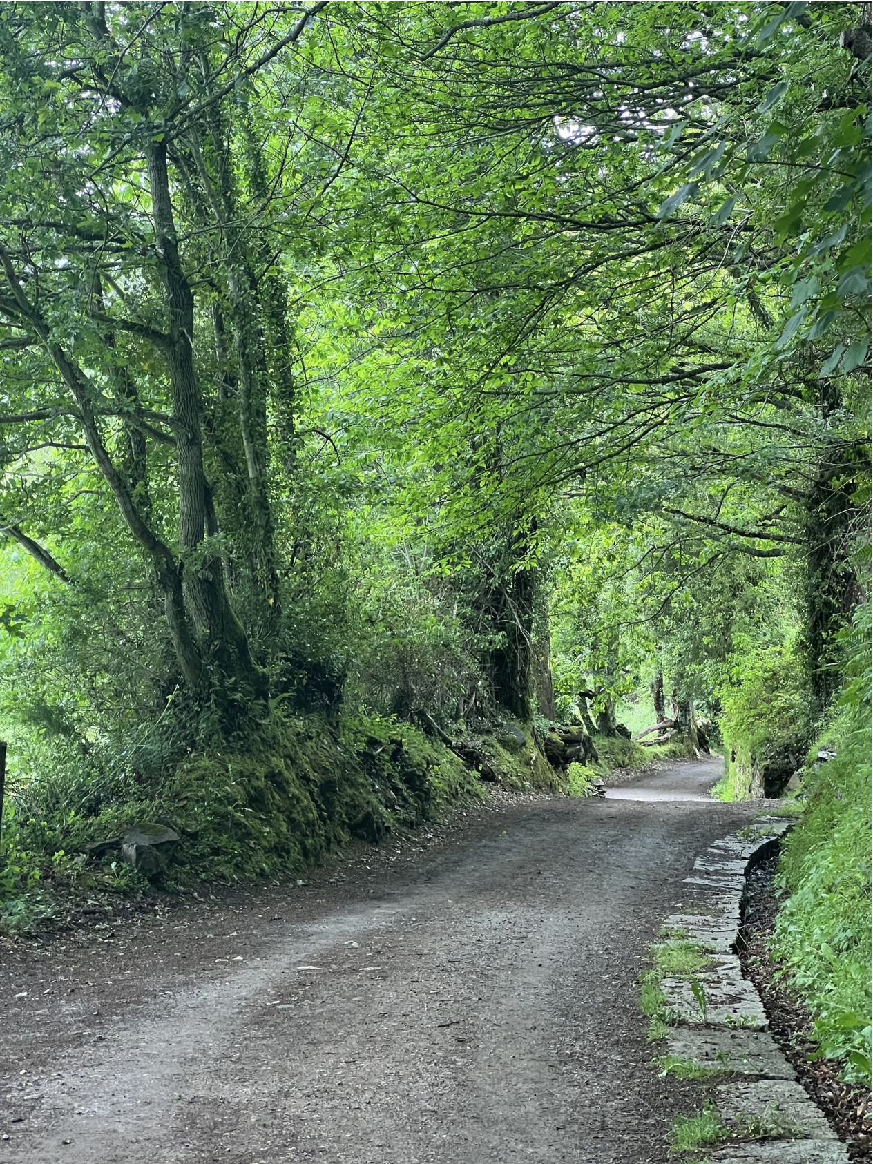 Screenshot 2026-03-11 at 9.57.49 AM.png