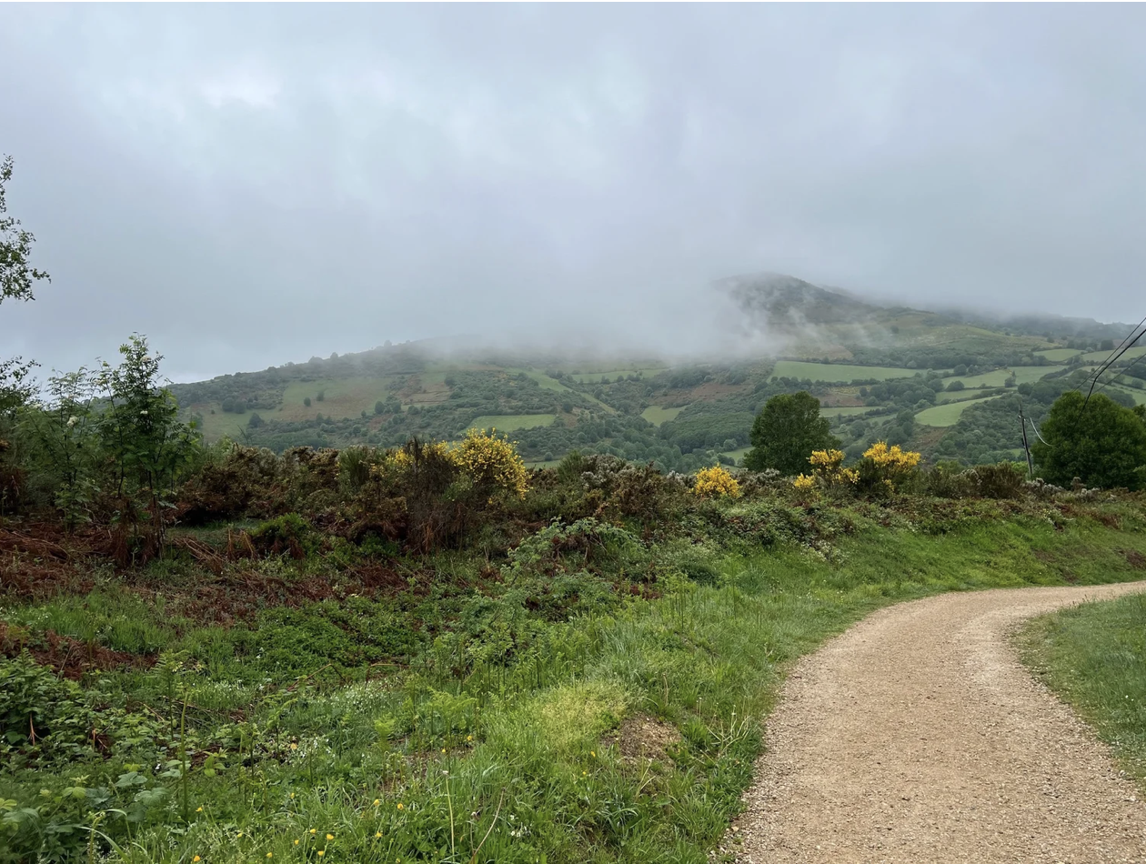 Screenshot 2026-03-11 at 9.58.19 AM.png